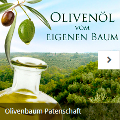 olivenbaum buchen